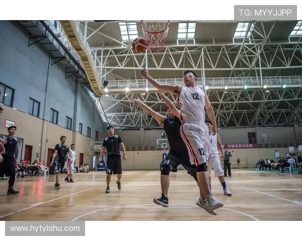 刘娜独家篮球心得分享：从基础技巧到实战经验的全面解析与提升建议