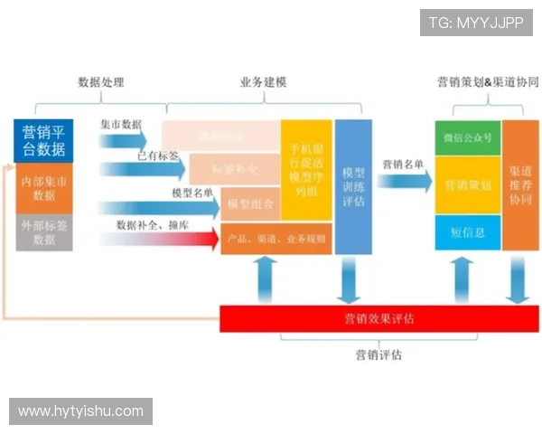 深圳羽毛球队的运营揭秘与发展深度分析