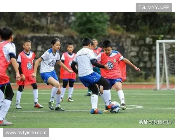 南京足球队比赛经验深度对比分析及其对未来发展的影响探讨